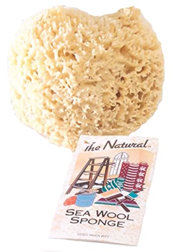 The Natural Sea Sponge