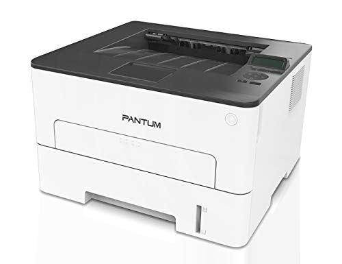 Pantum Compact Monochrome Laser Printer with Auto Two-Sided Black and White Wireless Mobile Device WiFi NFC Printing - Laserjet Pro L2300dw(W4I48A)