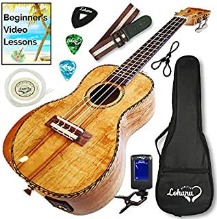 Ukulele From Lohanu Amazing Looking Spalted Maple With Armrest Glossy Finish With 3 Band EQ & Pickup With All Accessories Included! (Concert Size)